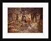 Wild Horse, New Forest by Assaf Frank